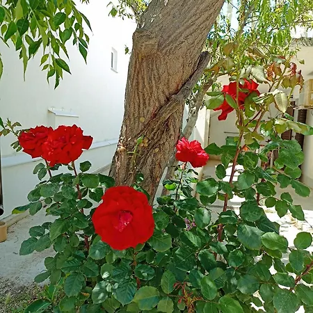 Val Apartment *